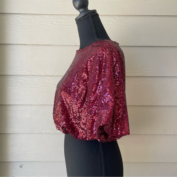 Day + Moon Cranberry  Sequin Top 
Size S - Picture 2 of 7